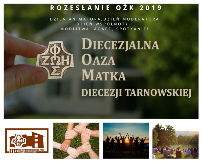 DOM 2019 700